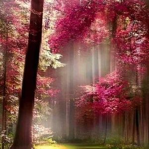 Meet your Posher, Delcey